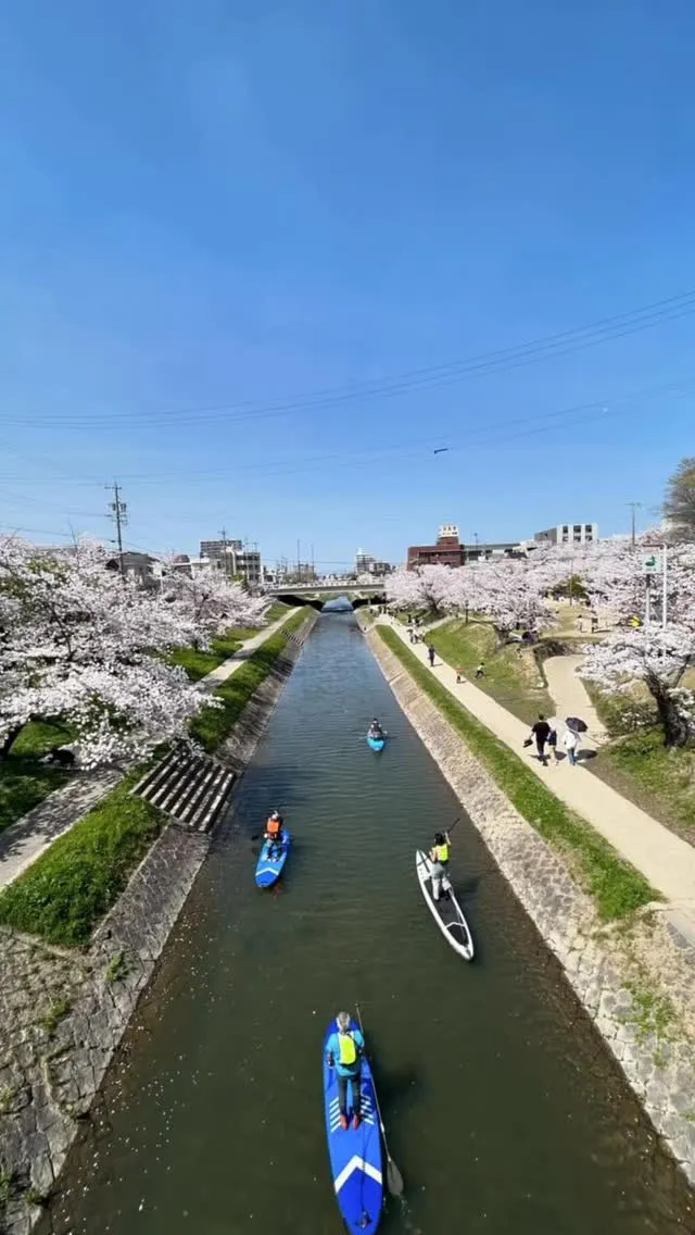 お花見SUPツアー