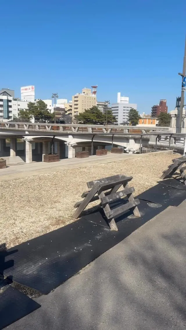 乙川、桜開花🌸