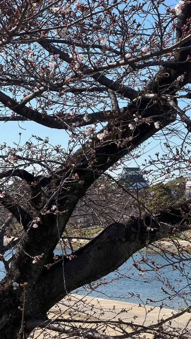 「QURUWAと暮らす2026」最終日