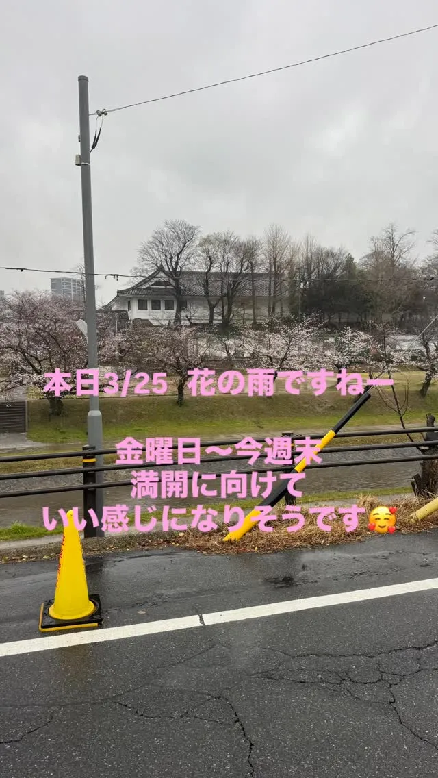 今日は花の雨…