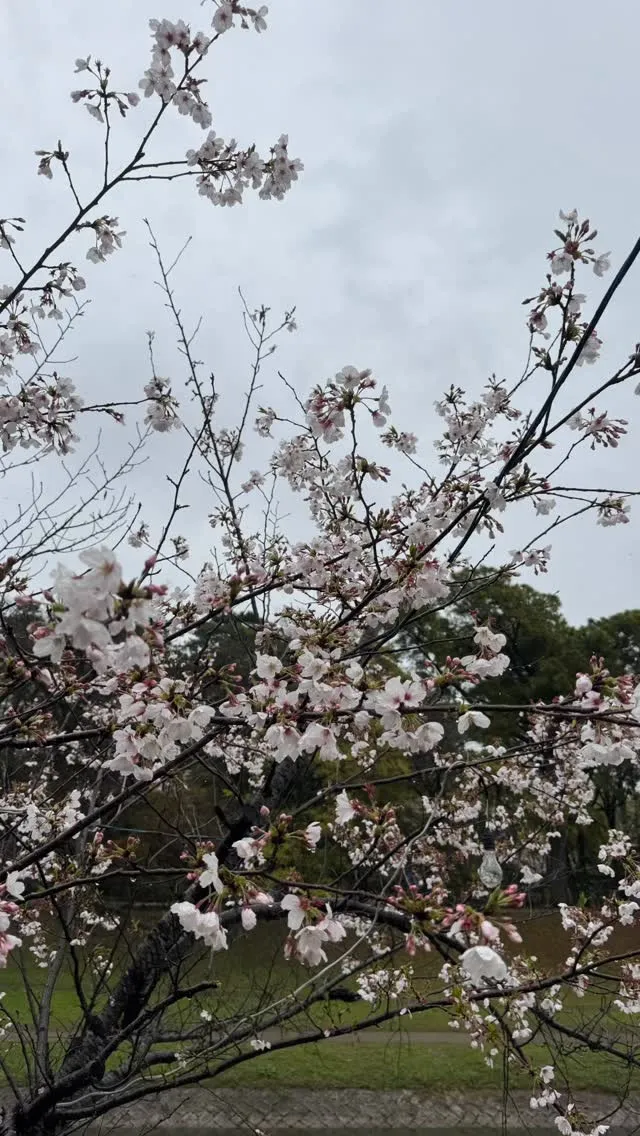 4月1日  新年度始まりました😊